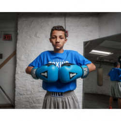 Title Inspire Boxing Gloves