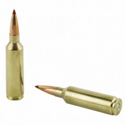 Hornady Precision Hunter ELD-X 20/200